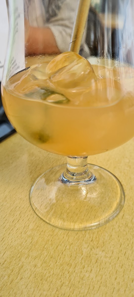 Wislany Ogrod & Statek Sobieski-9